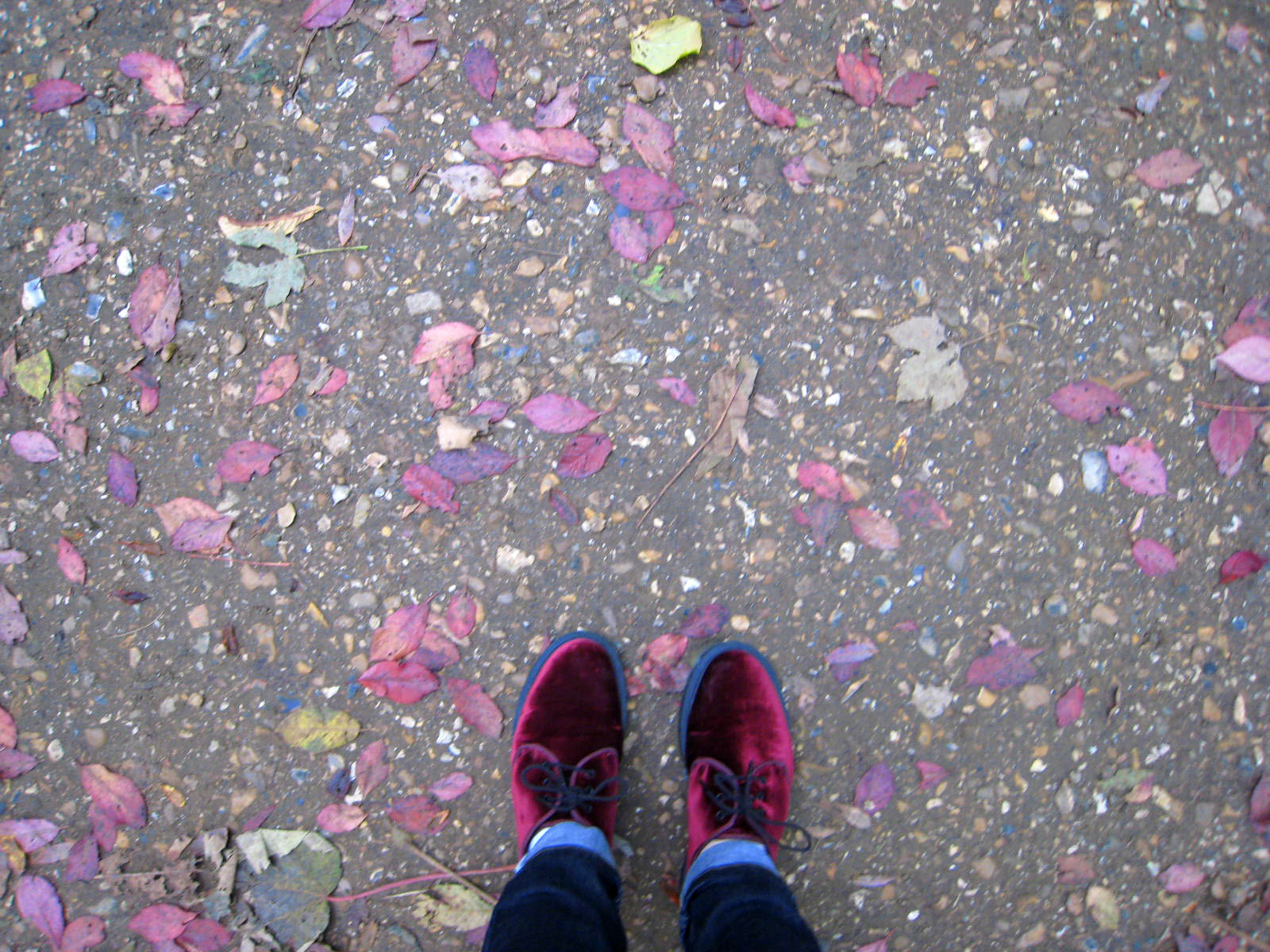 red shoes red leaves