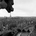 Robert Doisneau - notre dame gargouille - Paris found bath boutique store shop telgraph stella